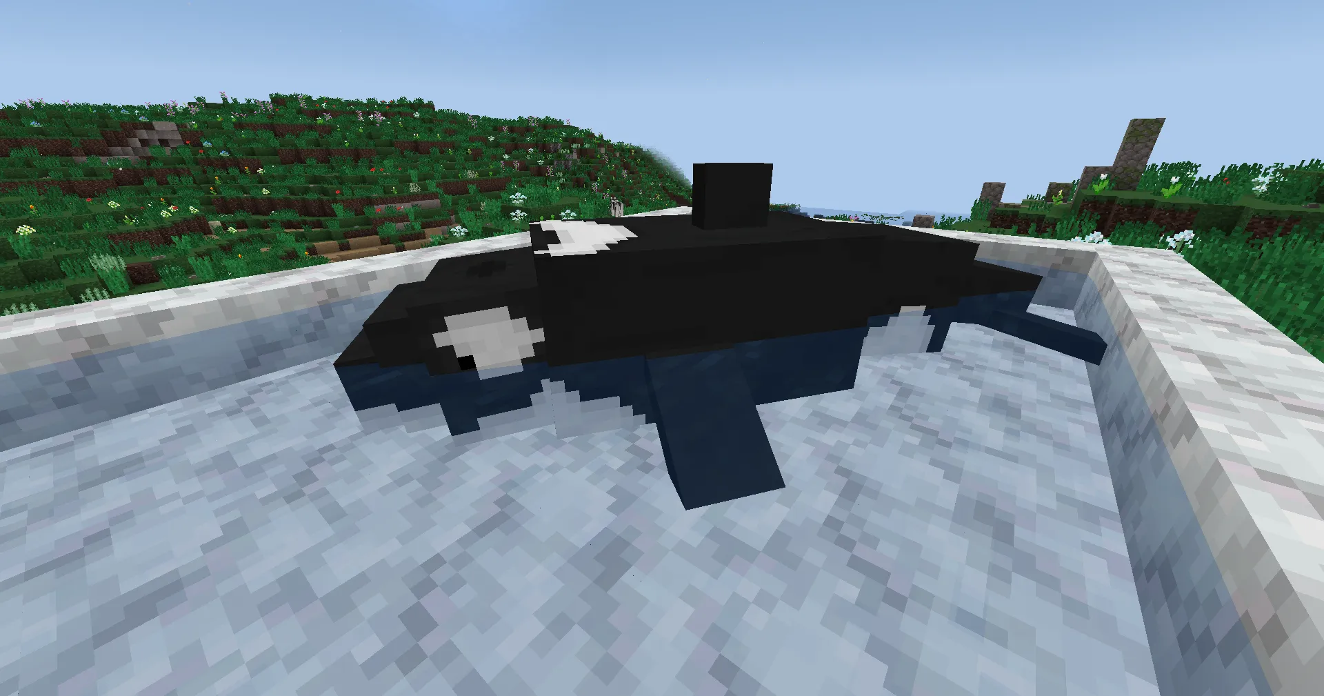 A new bear skin TFC, Текстуры, Minecraft