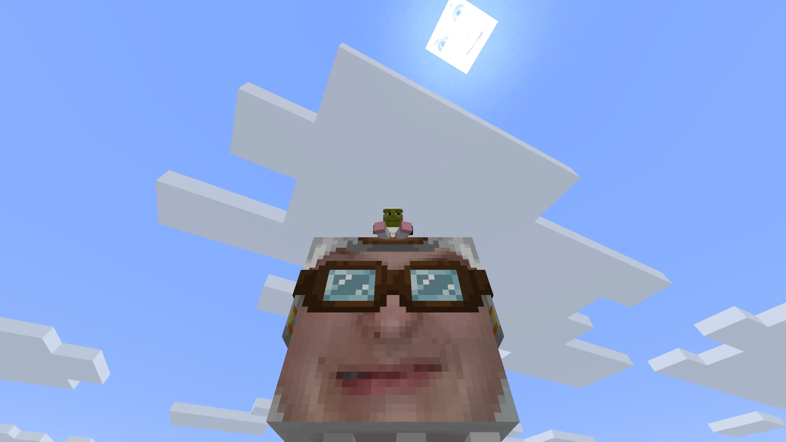 Roman, Текстуры, Minecraft