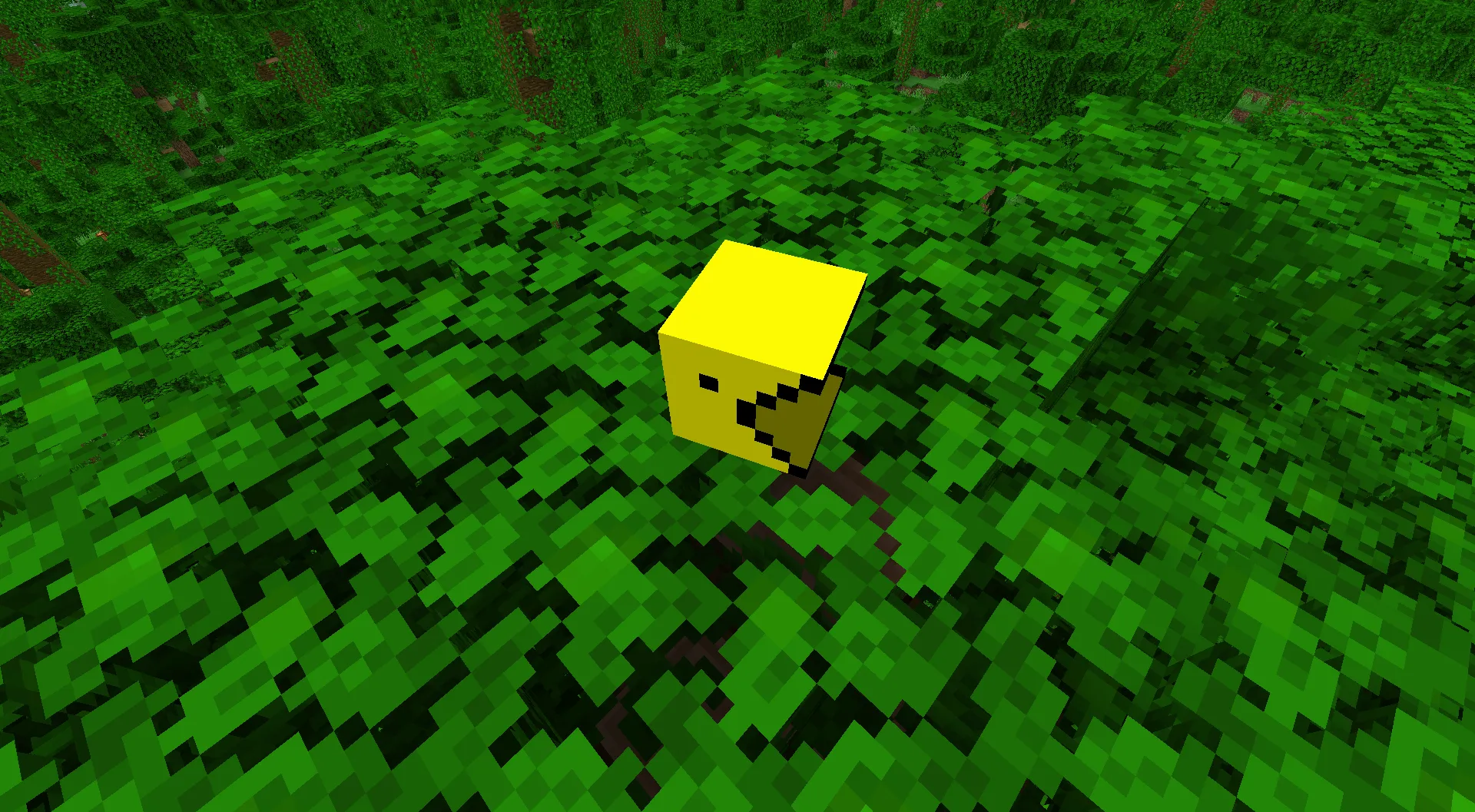 Dezimod, Моды, Minecraft