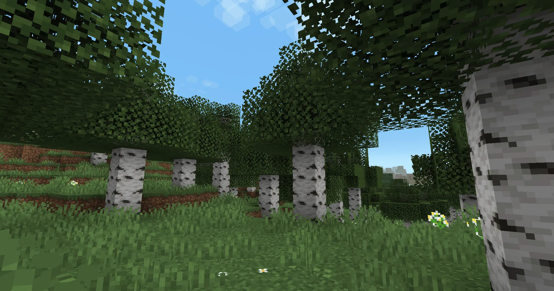 Spruced Up — скриншот 2 (Текстуры, Minecraft)