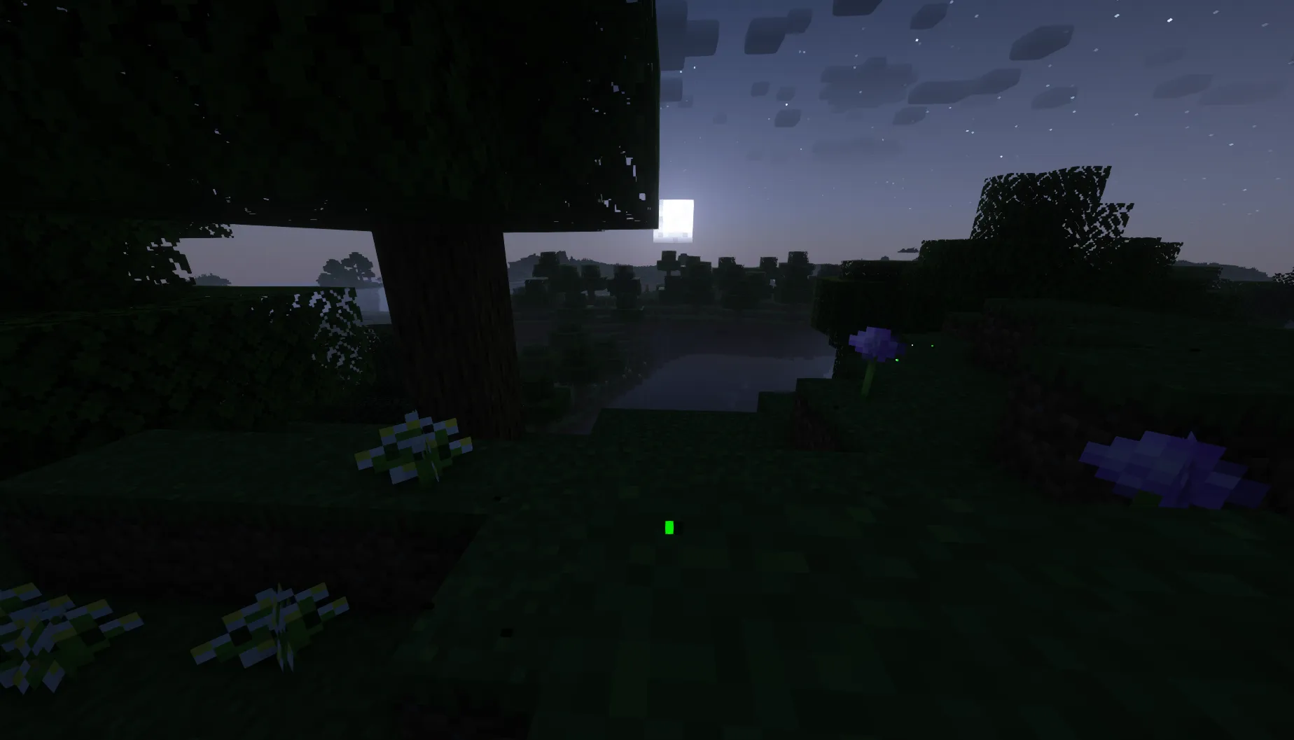 Colorfly, Моды, Minecraft