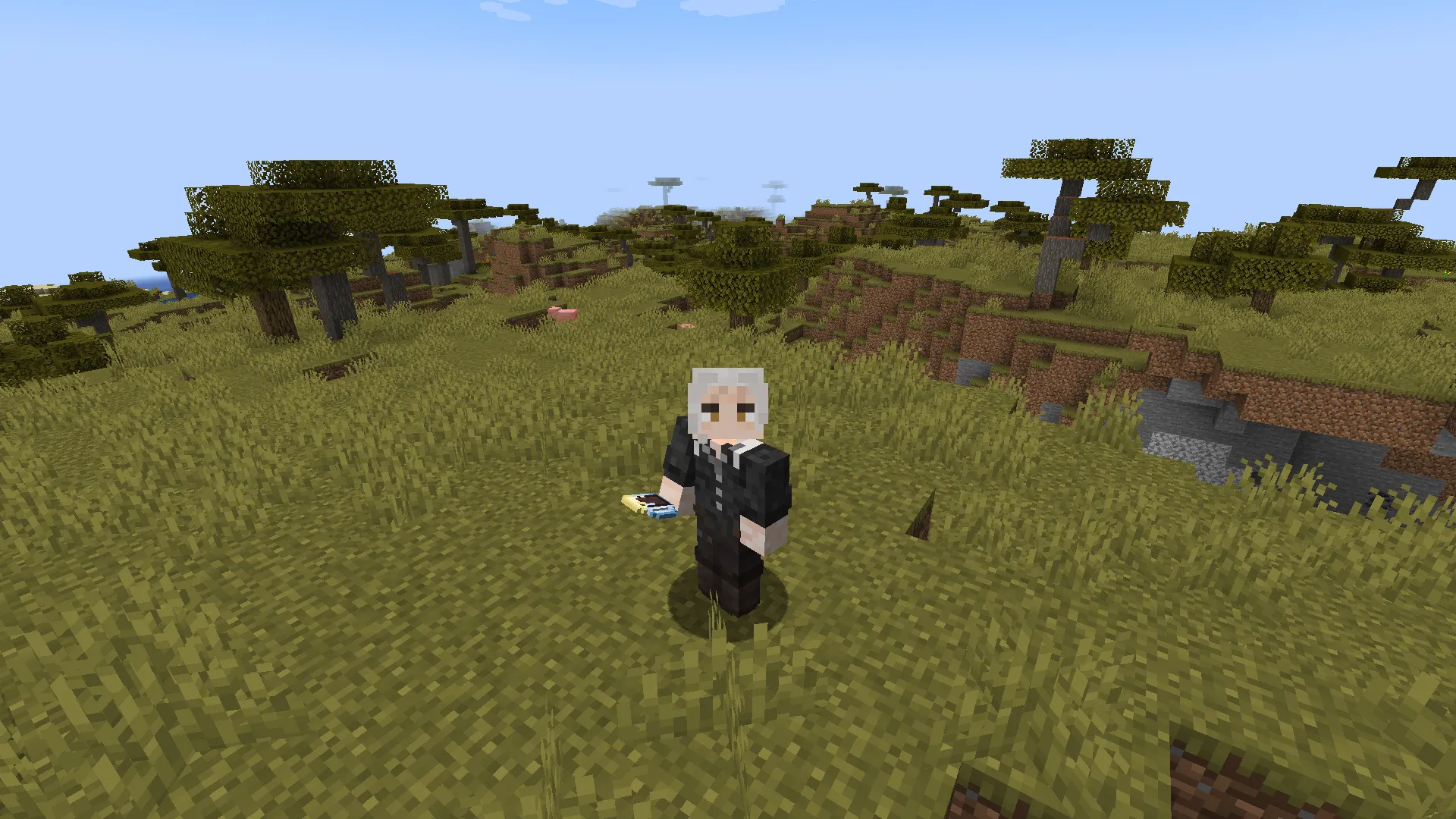 assassin witcher — скриншот 3 (Моды, Minecraft)