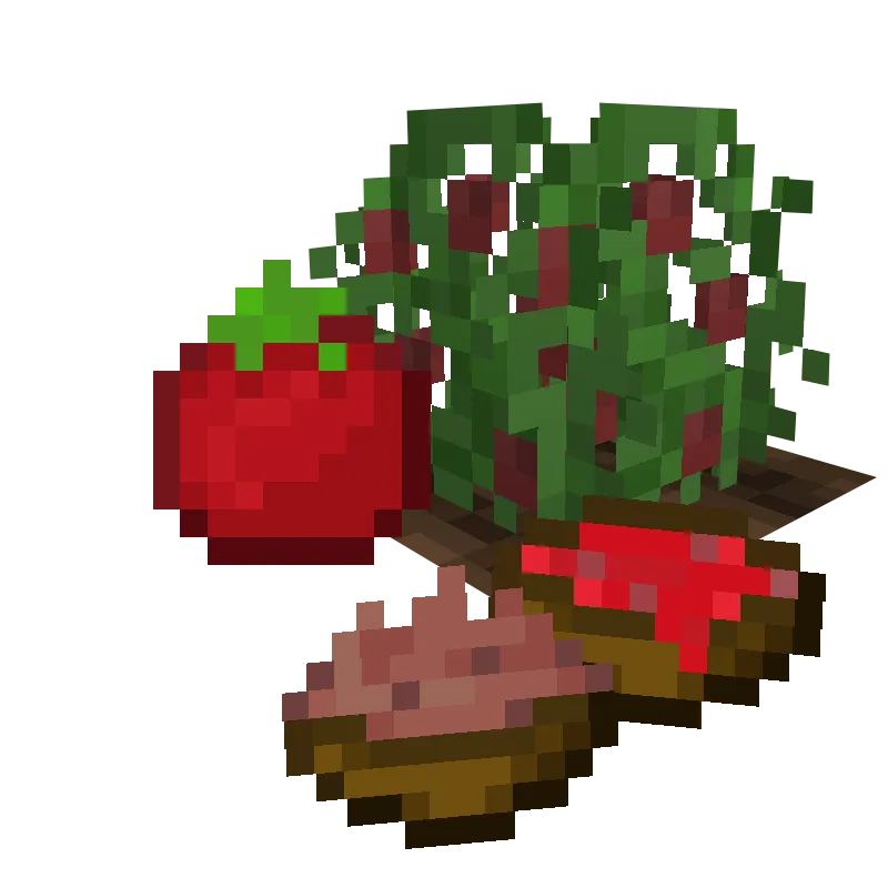 project-416605, Моды, Minecraft