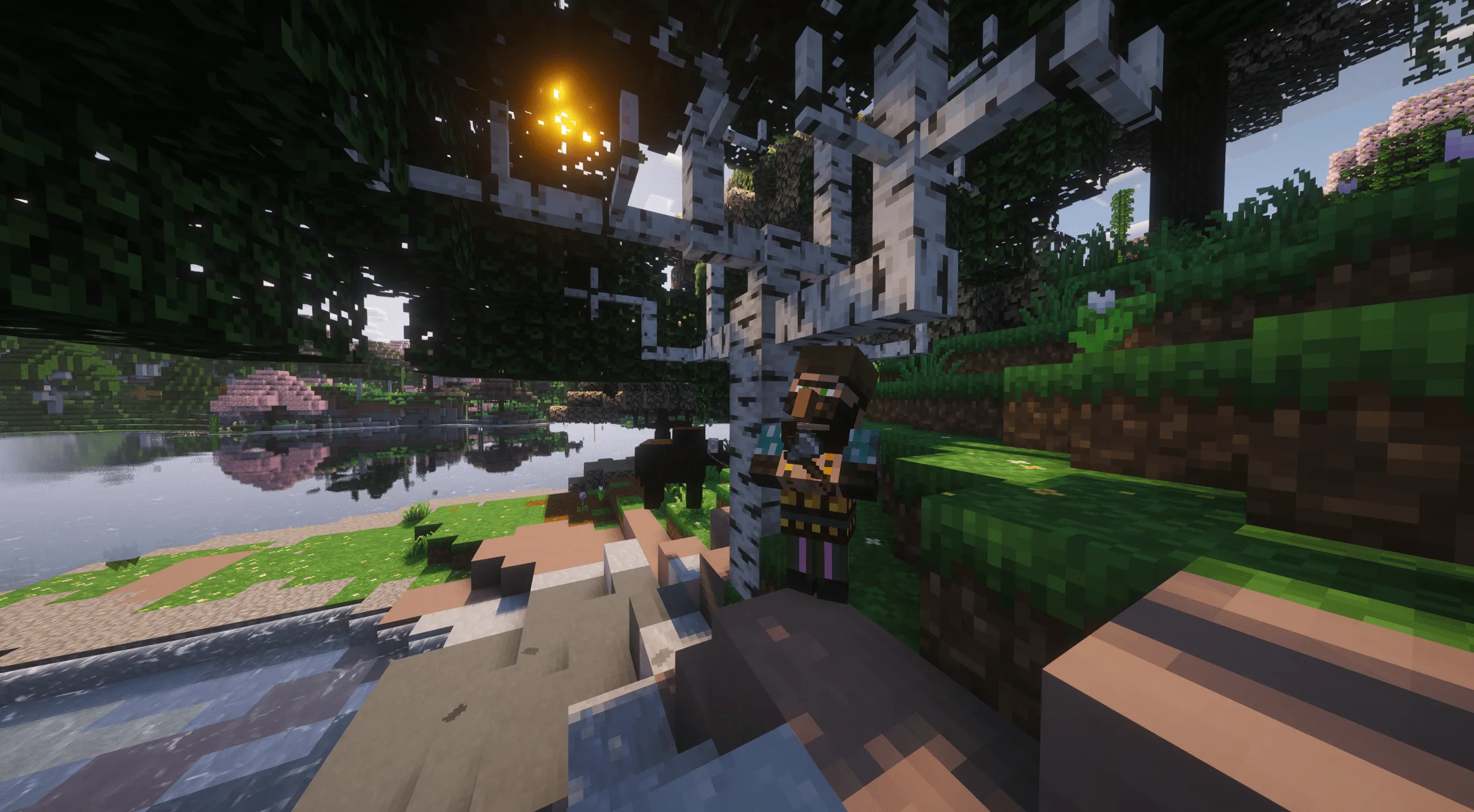 Book of Dragons, Моды, Minecraft