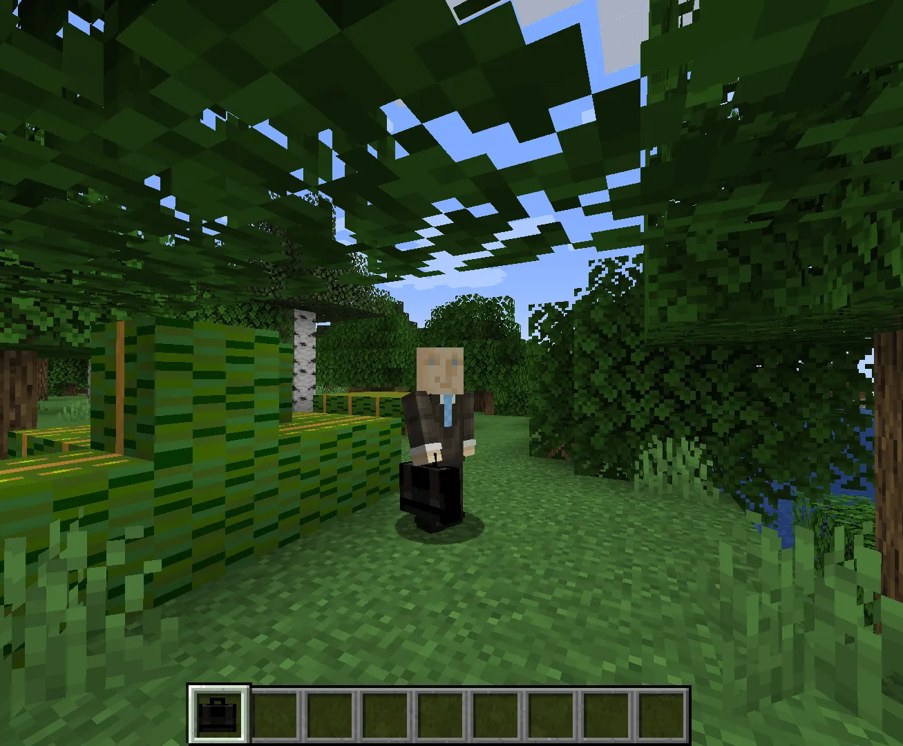 A_Shfox's Currency — скриншот 1 (Моды, Minecraft)