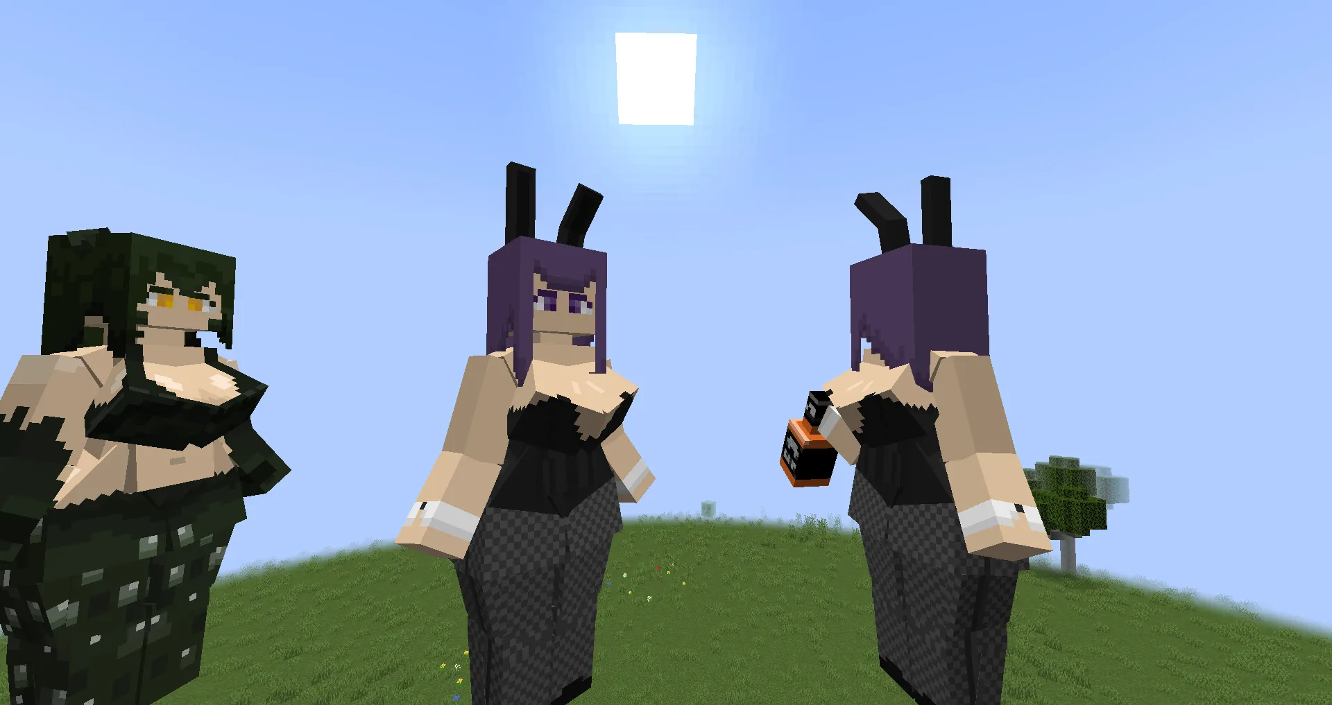 Girls, Моды, Minecraft