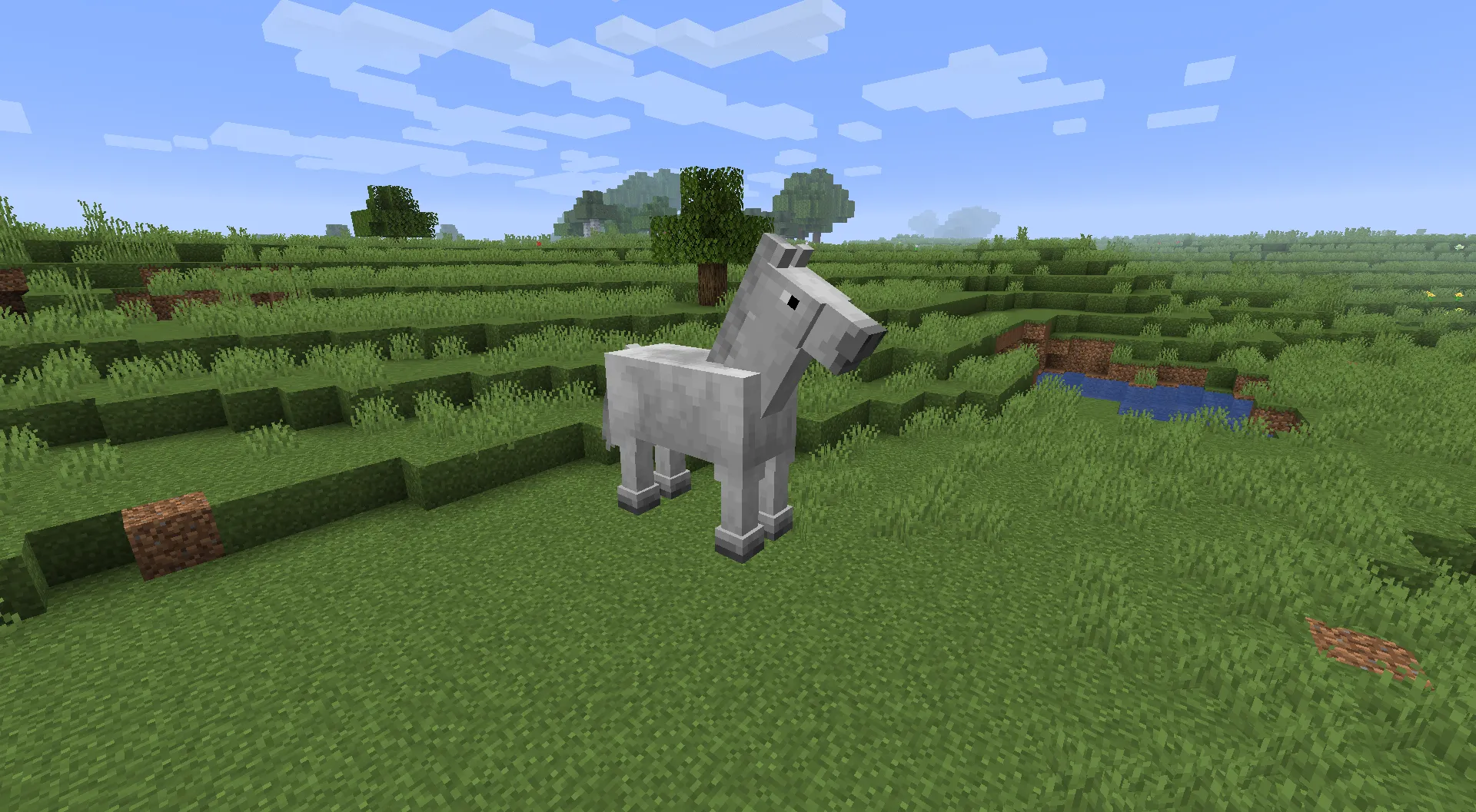 Old Horses in 1.13/1.14+ — скриншот 9 (Текстуры, Minecraft)