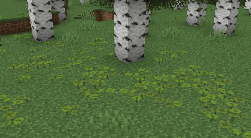 WildFlower to Clover Pack — скриншот 4 (Текстуры, Minecraft)