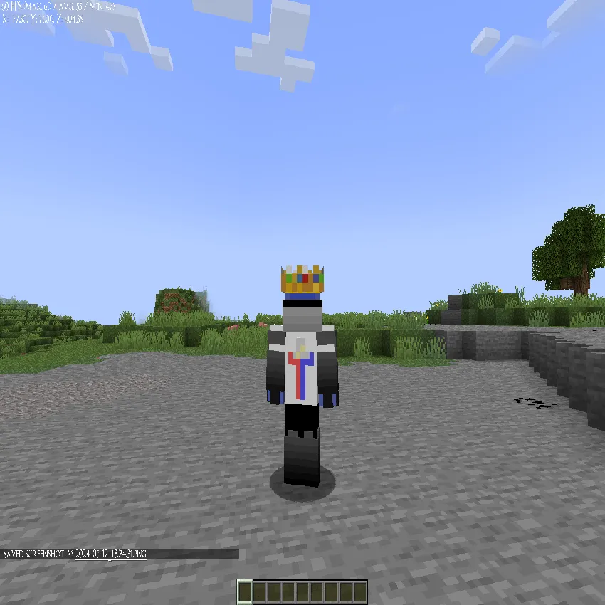 Technoblade's Golden Crown, Текстуры, Minecraft