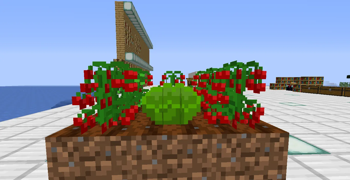 HamburgersLand, Моды, Minecraft