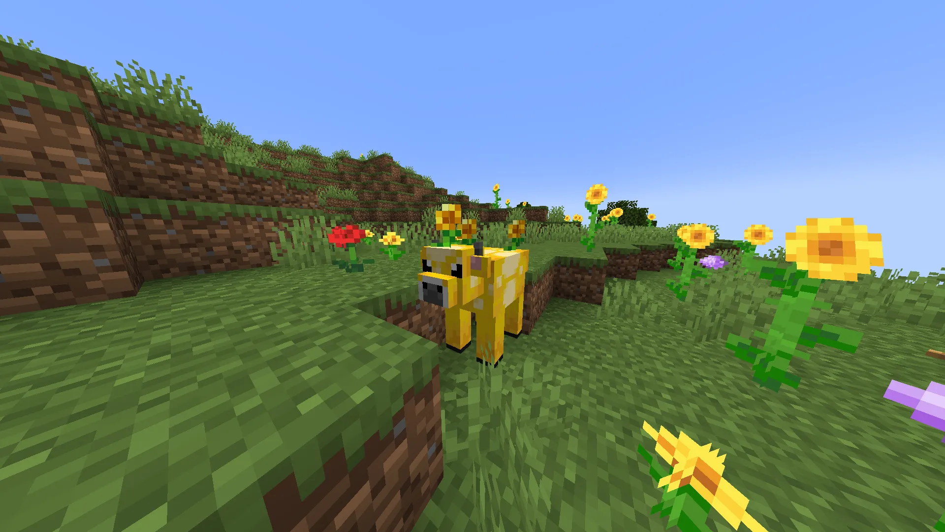 Dani's Livestock Revamp (JEMs), Текстуры, Minecraft