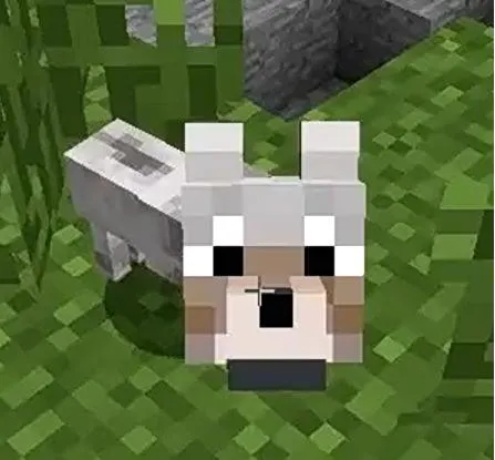 Little Pets, Плагины, Minecraft