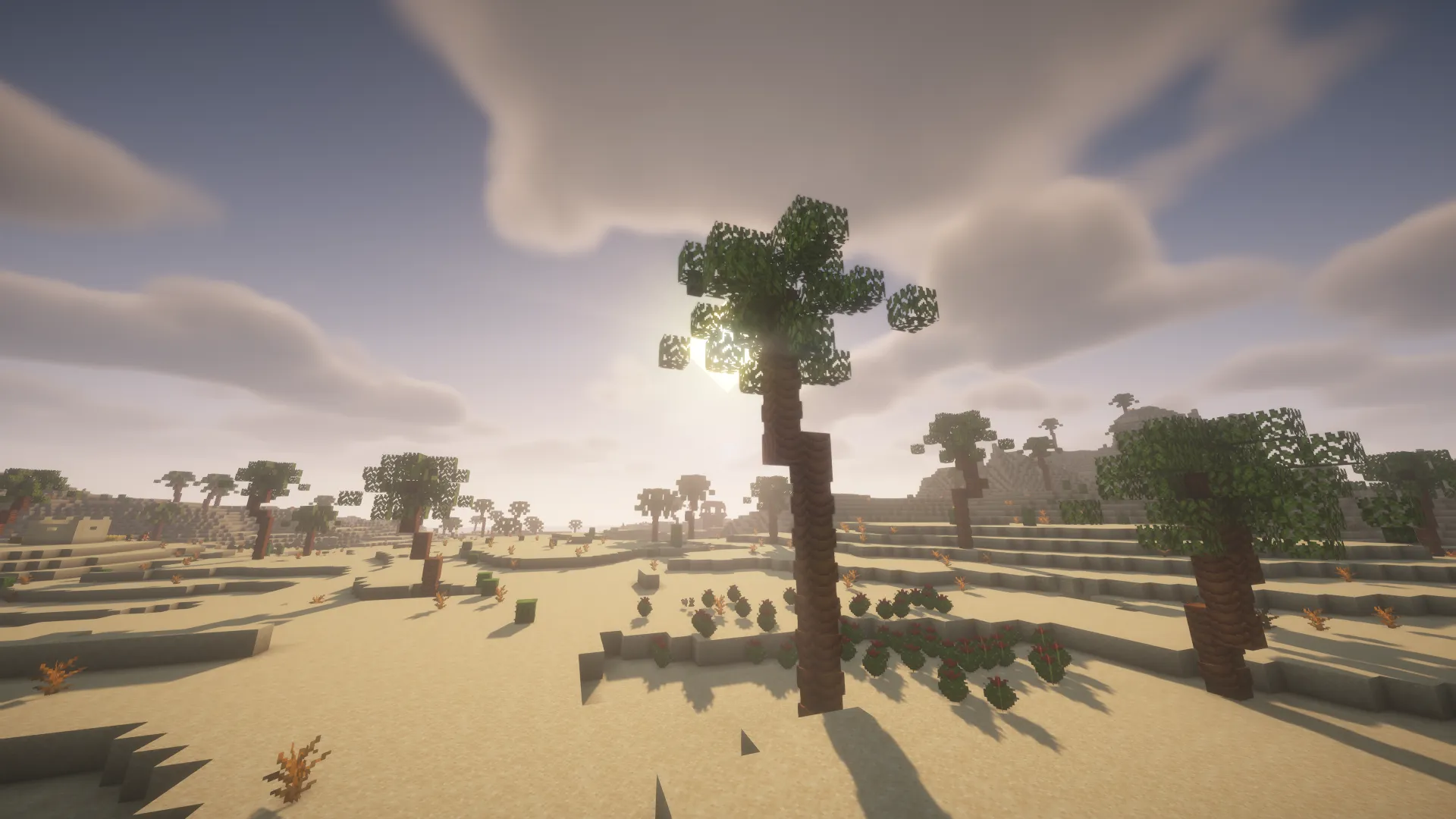 Tropicalia, Моды, Minecraft