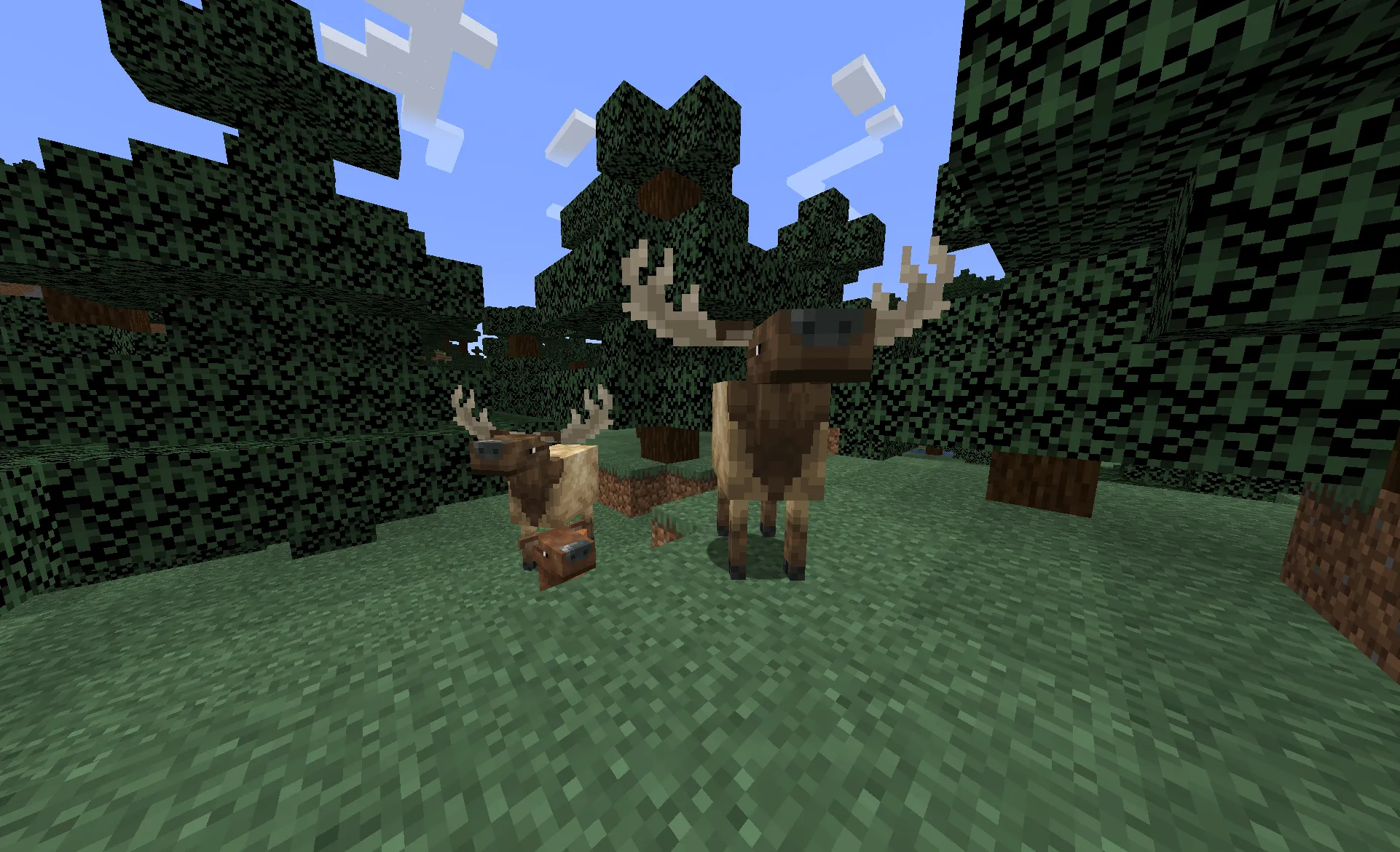 Polaris's Mobs Pacific Coast Animal Pack, Моды, Minecraft