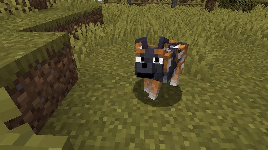 Fresh Animations Patch - Boy Why You So Ears — скриншот 6 (Текстуры, Minecraft)