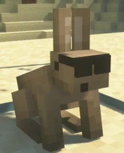 Raffie's dum resource pack, Текстуры, Minecraft