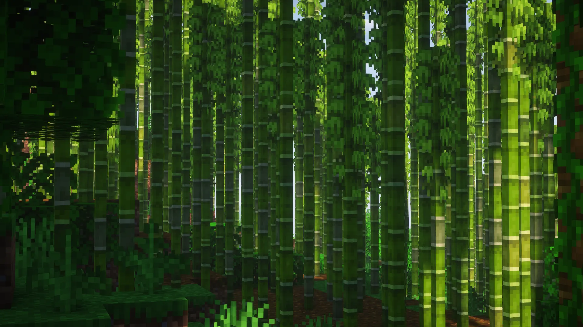 Better Bamboo — скриншот 2 (Текстуры, Minecraft)