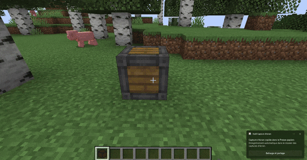 MiguelCrates, Моды, Minecraft