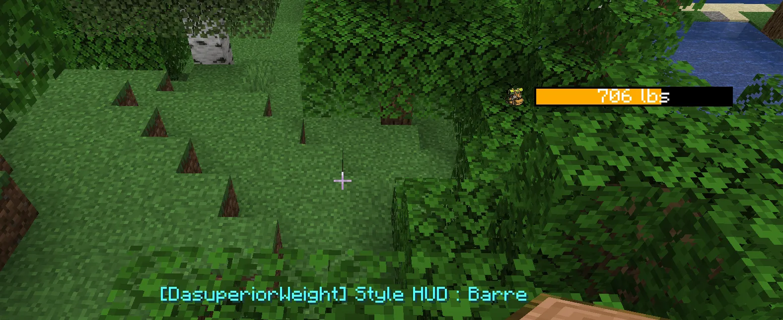 DasuperiorWeight 2.0 - Weight System — скриншот 2 (Моды, Minecraft)