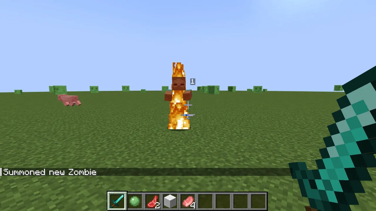 Damage Amount Displayer, Моды, Minecraft