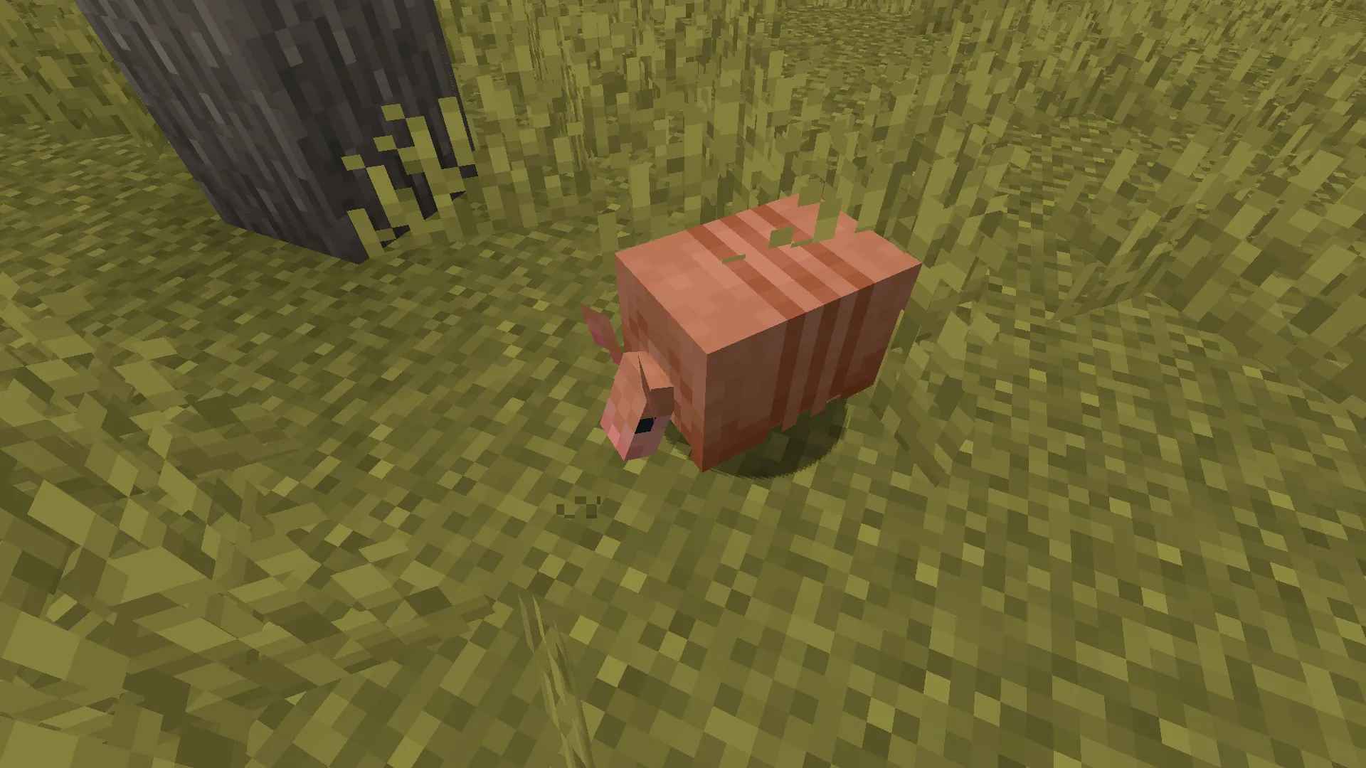 Varied Armadillos, Текстуры, Minecraft