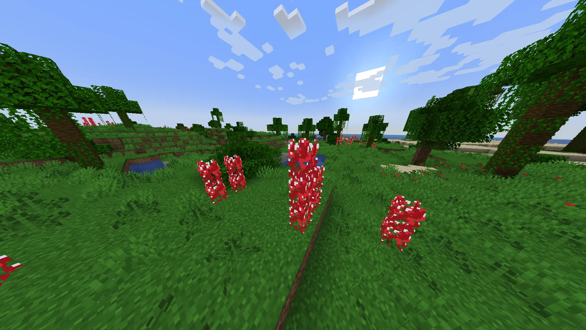Rubies&Health, Моды, Minecraft