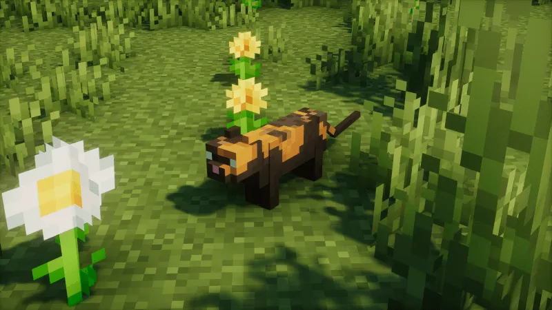 Tortoiseshell Cats ! — скриншот 1 (Текстуры, Minecraft)