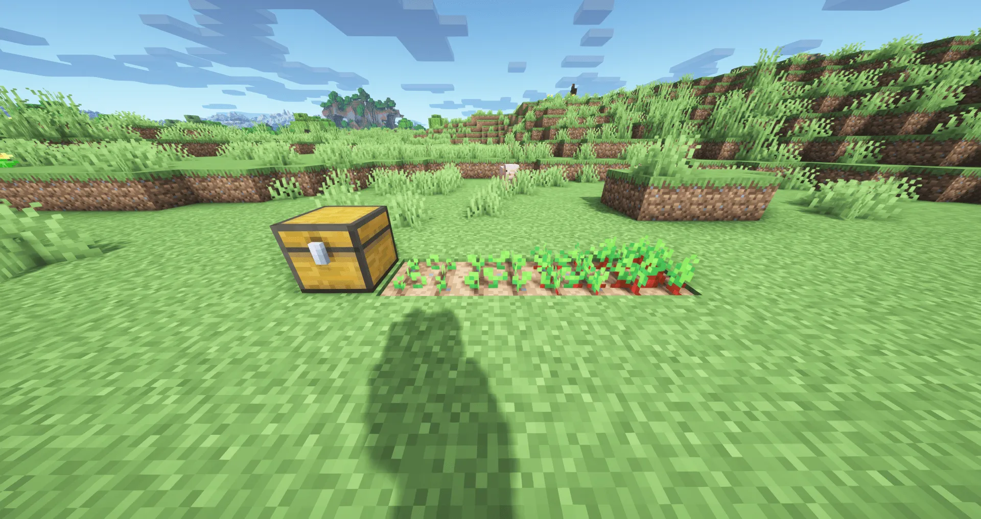 Strawberries!, Текстуры, Minecraft