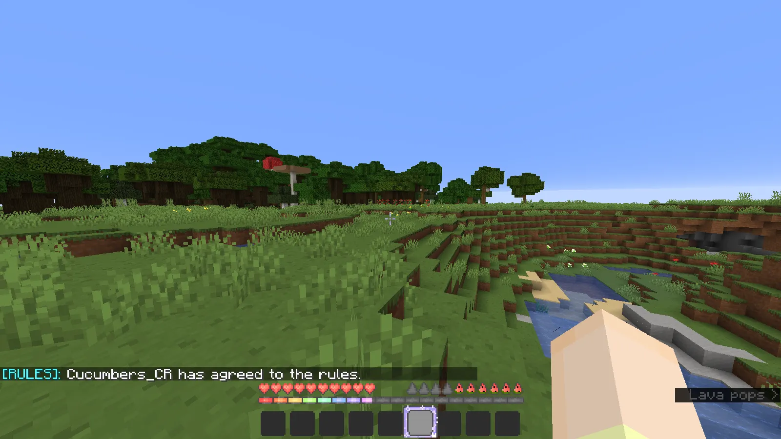Rules by Cucumbers_CR — скриншот 2 (Плагины, Minecraft)