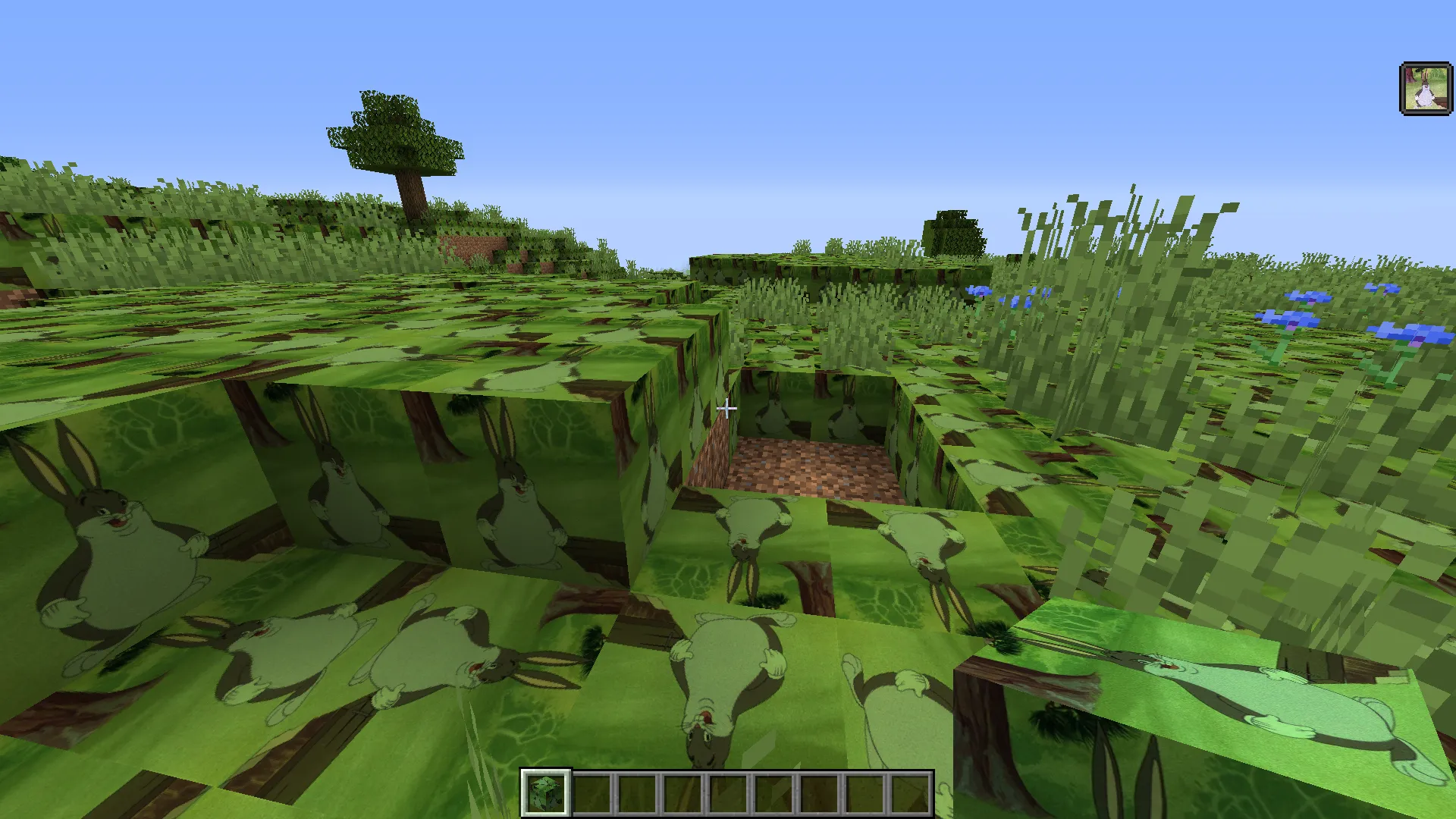 Big Chungus Texture Pack , Текстуры, Minecraft