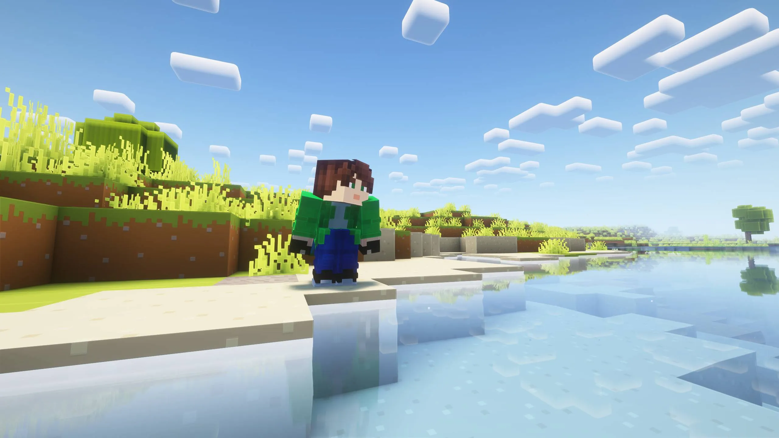 Can't Touch Water, Моды, Minecraft