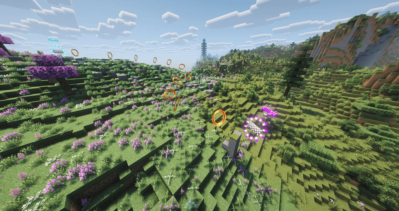 Dragon Rings, Моды, Minecraft