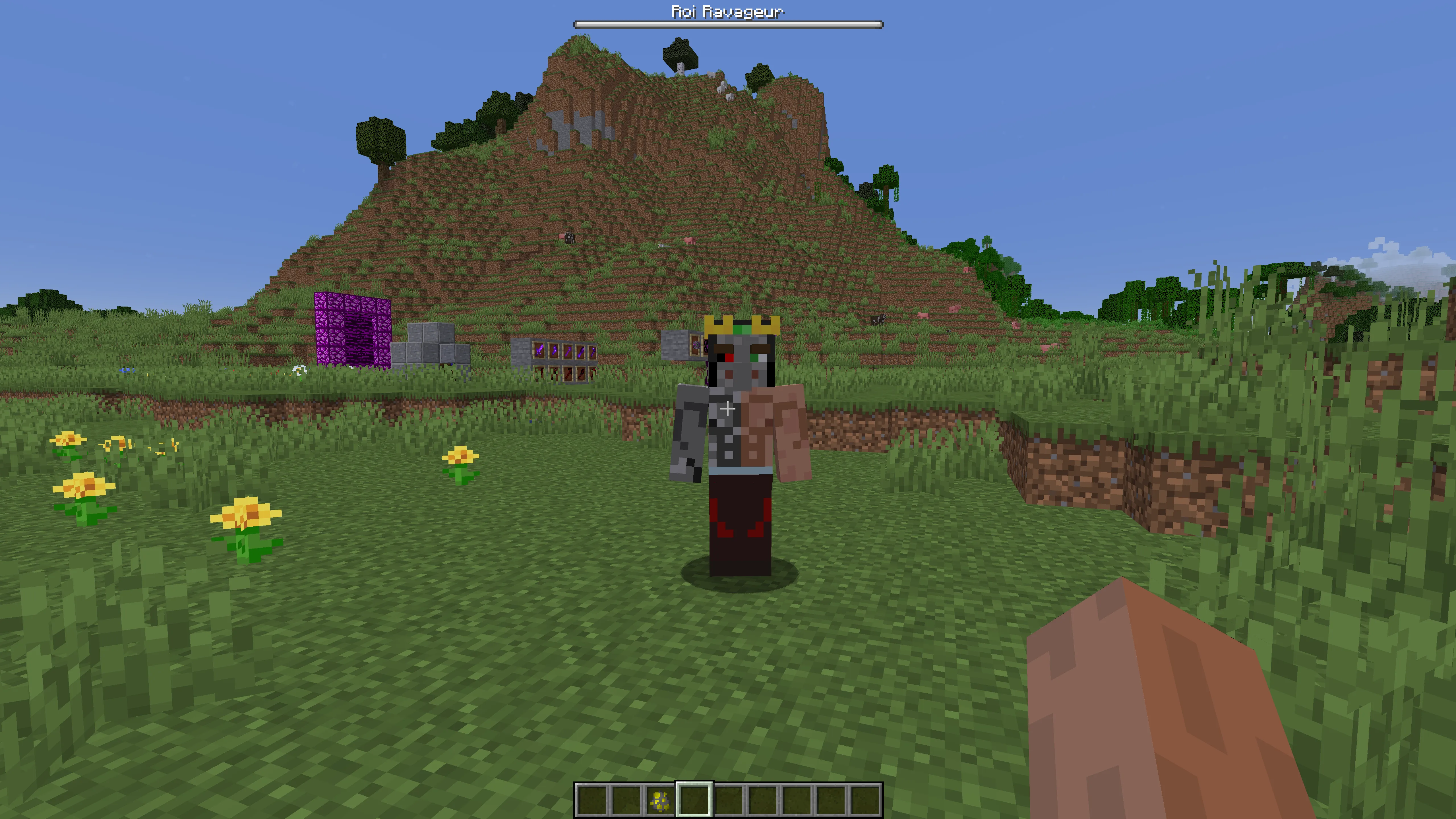 NexWorld, Моды, Minecraft