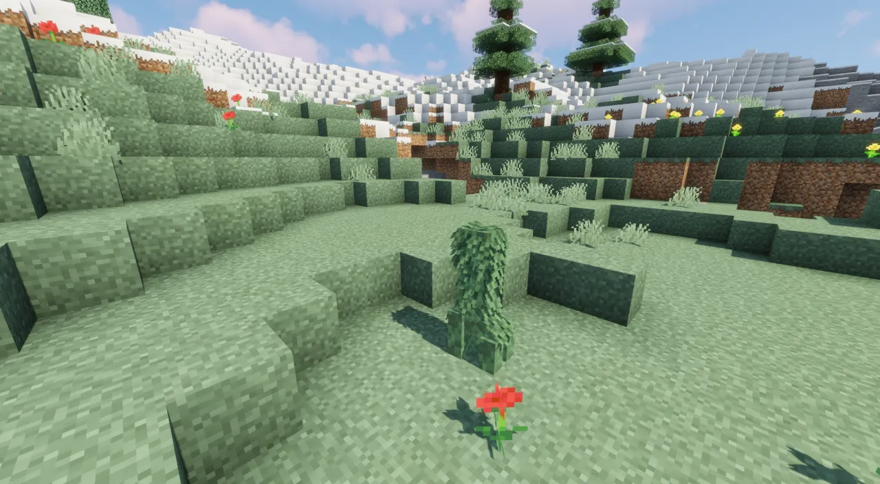 Creepers 303, Текстуры, Minecraft