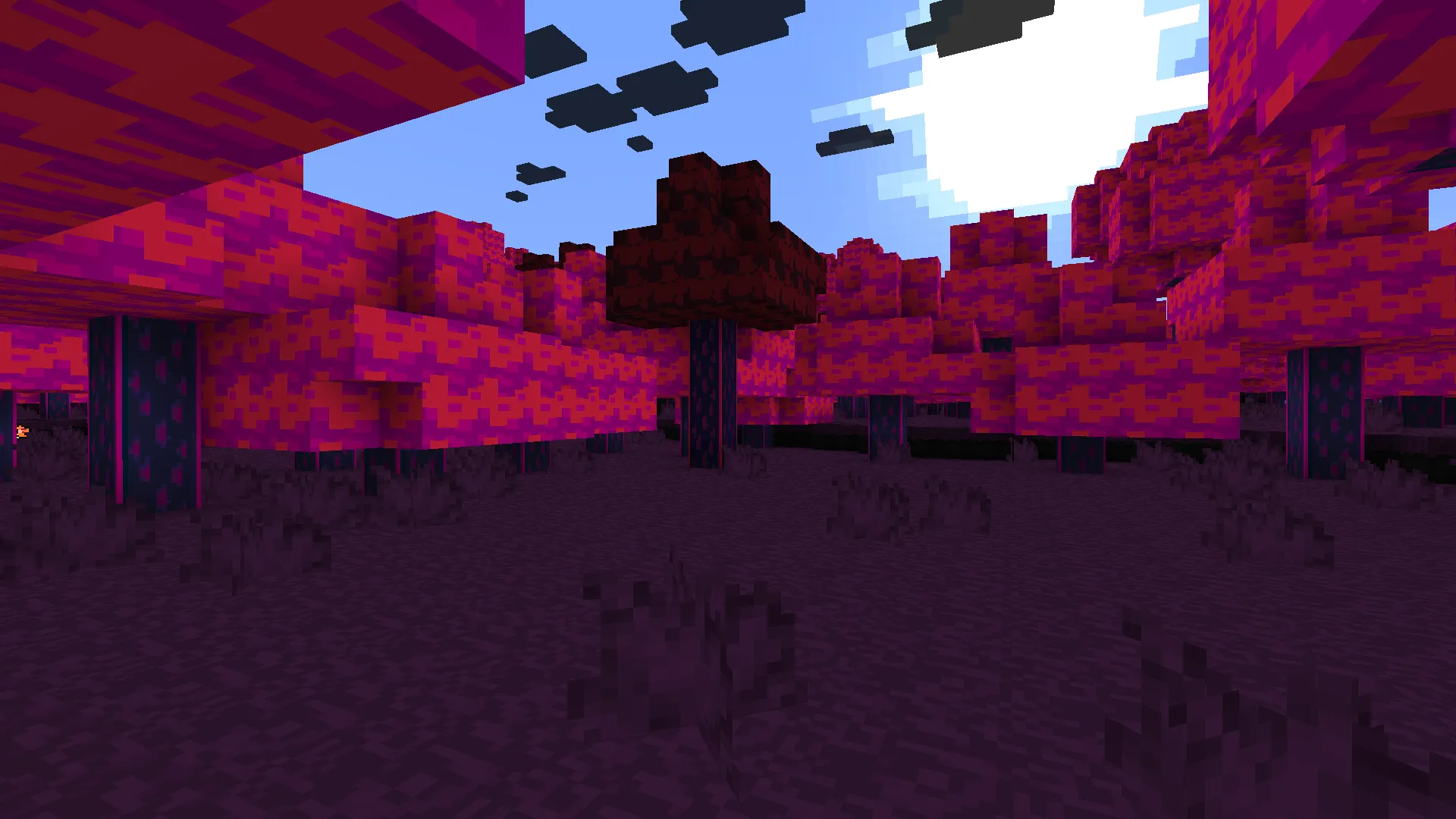DELTARUNE, Текстуры, Minecraft