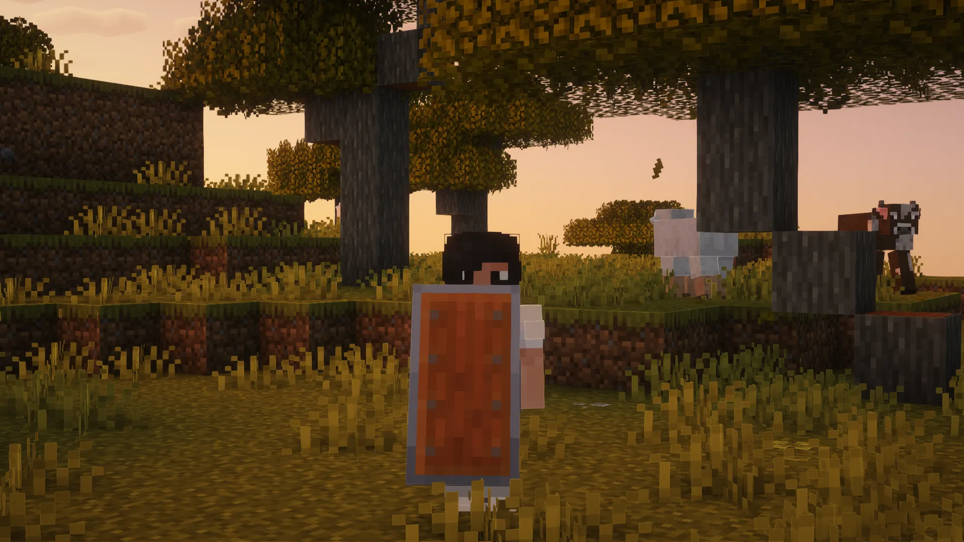 Woodtype Shields, Текстуры, Minecraft