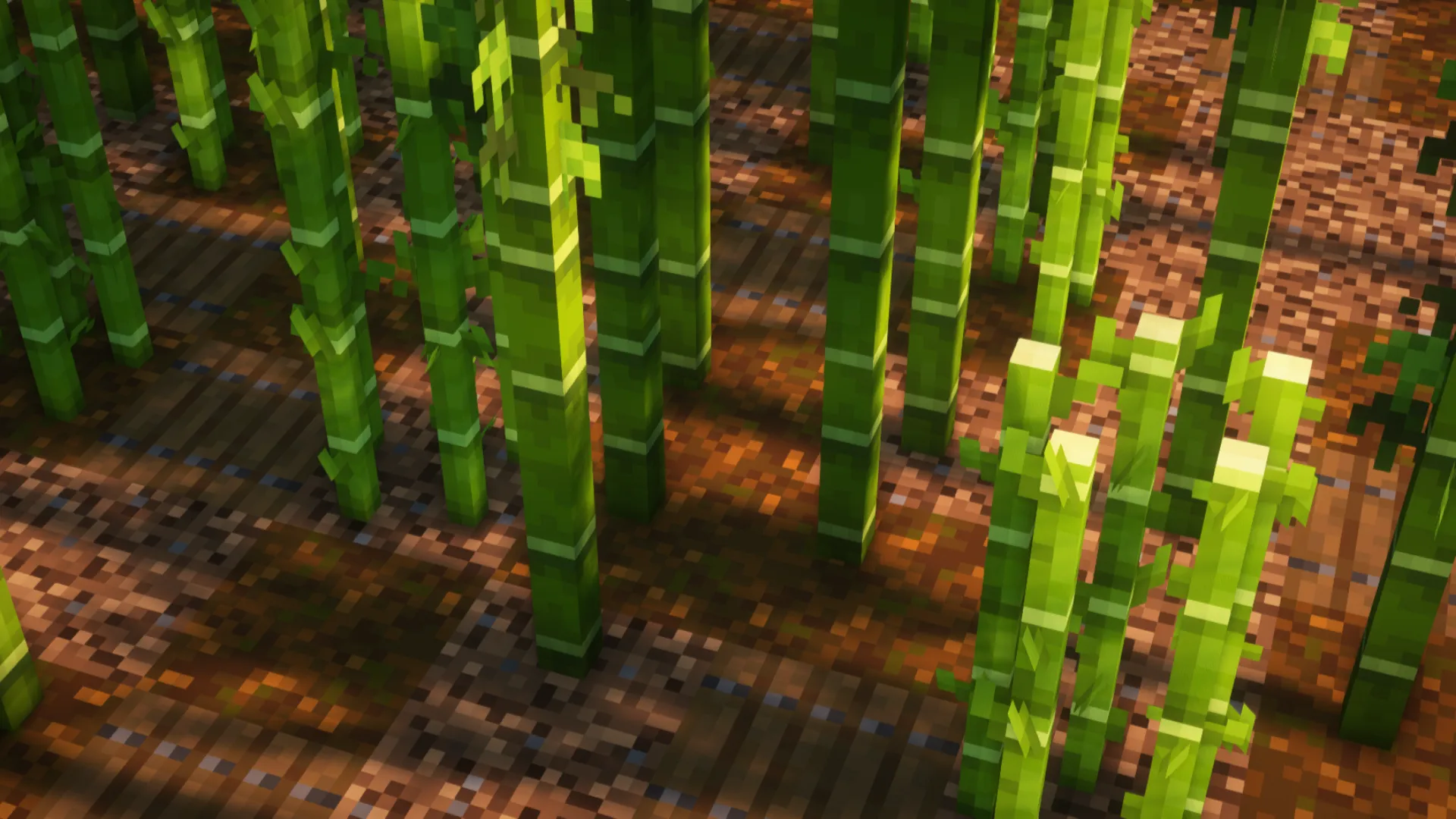 Superior Sugar Cane — скриншот 2 (Текстуры, Minecraft)