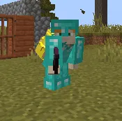 Server Backpacks Reborn — скриншот 5 (Плагины, Minecraft)