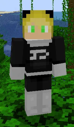 Phantom Accessories, Моды, Minecraft