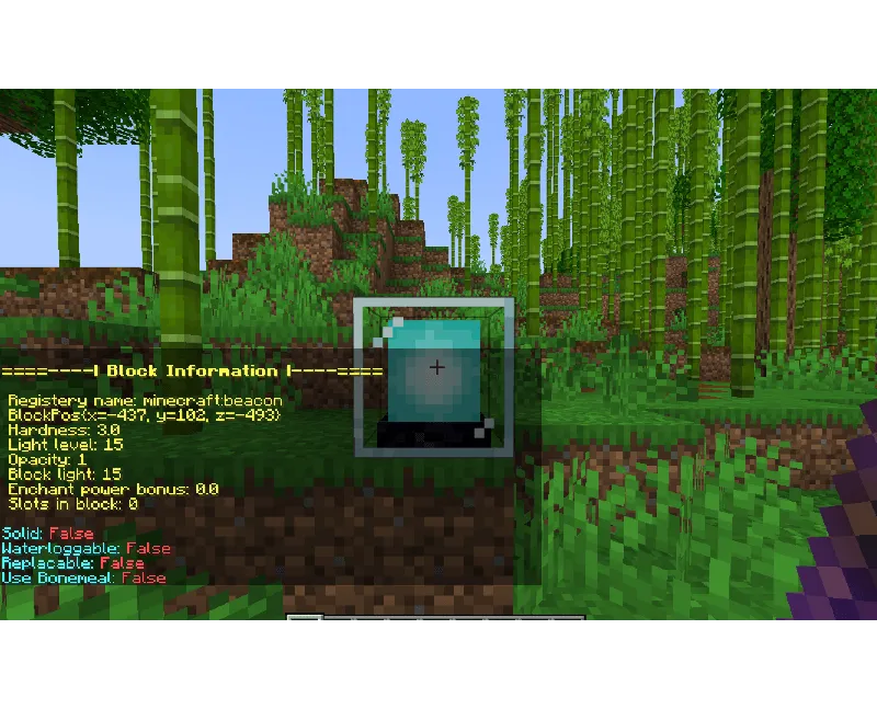 Block Information — скриншот 2 (Моды, Minecraft)