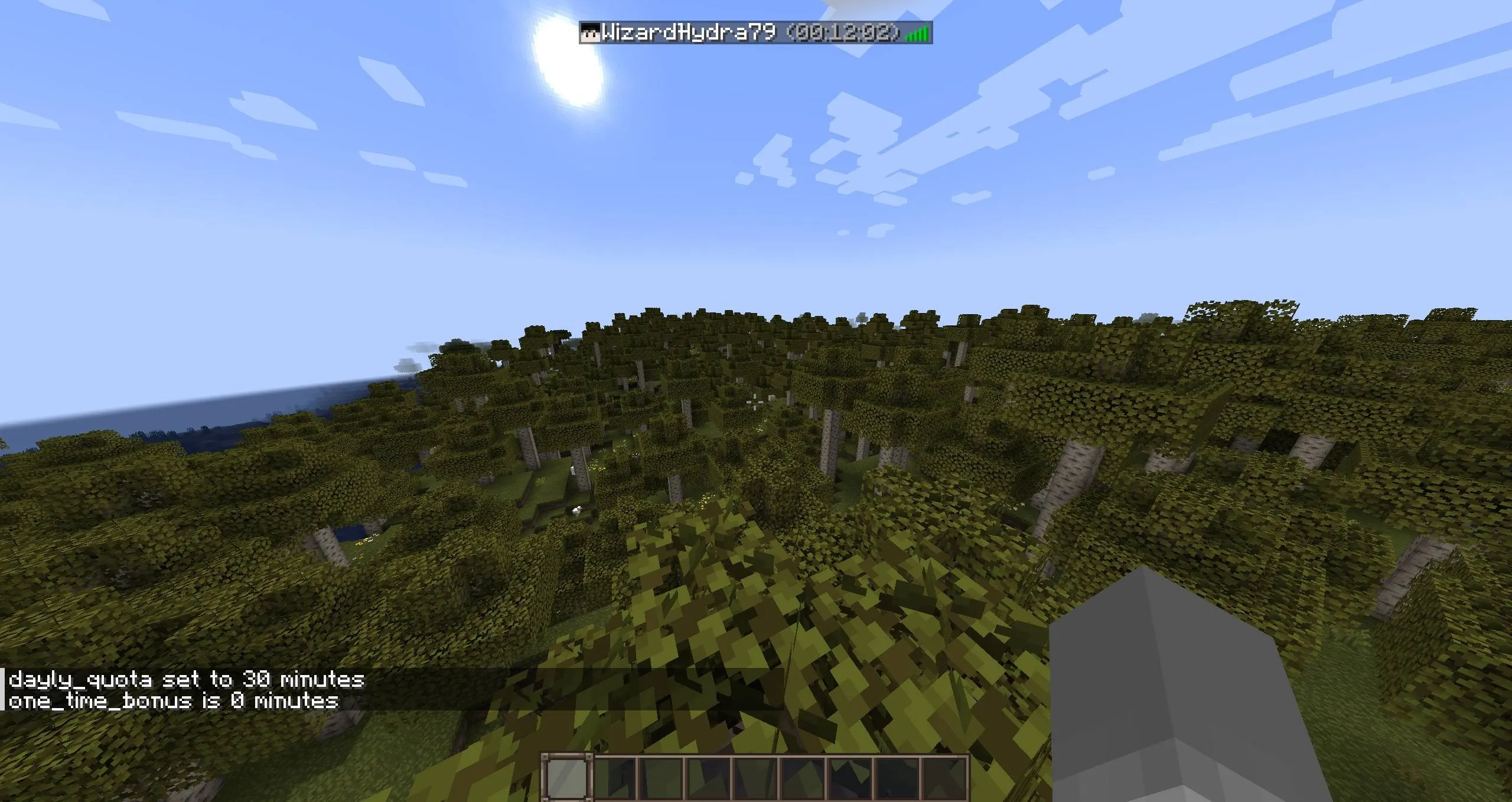 Custom Playtime Limiter — скриншот 2 (Моды, Minecraft)