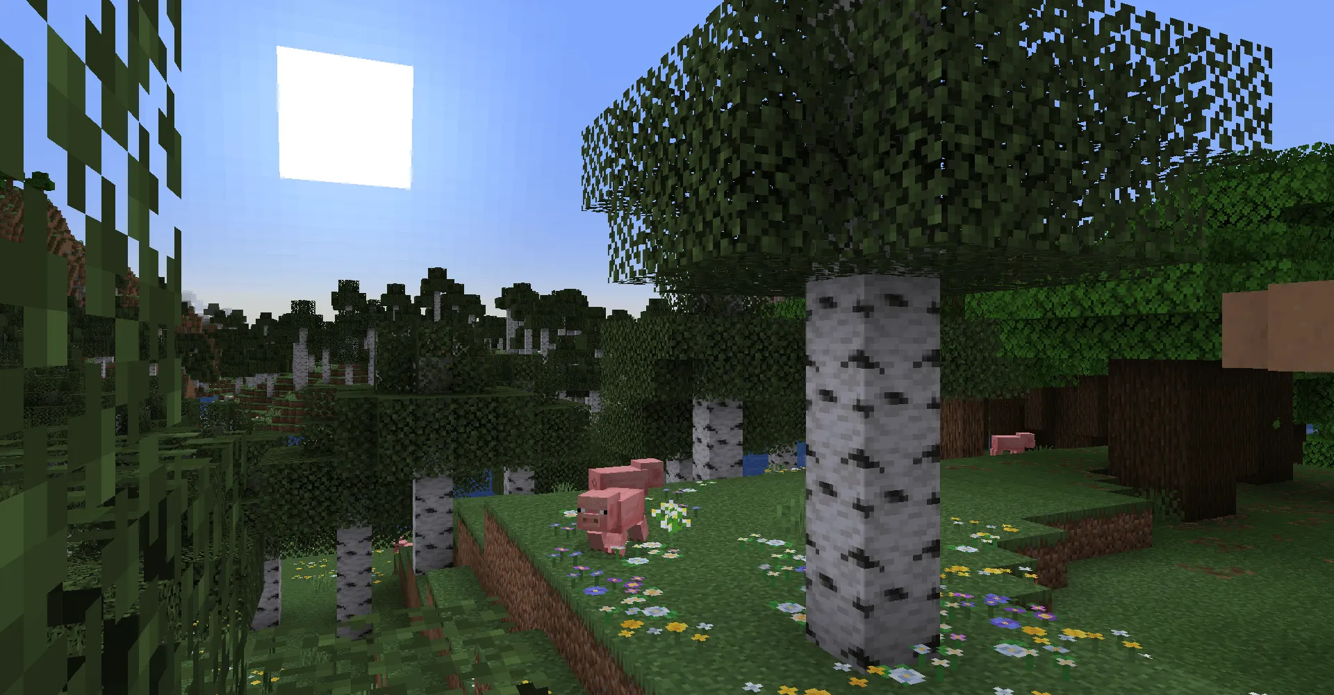 Sweety's Garden, Моды, Minecraft