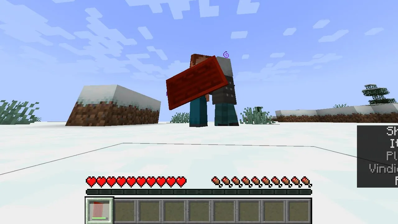 Visible Shield Cooldown, Моды, Minecraft