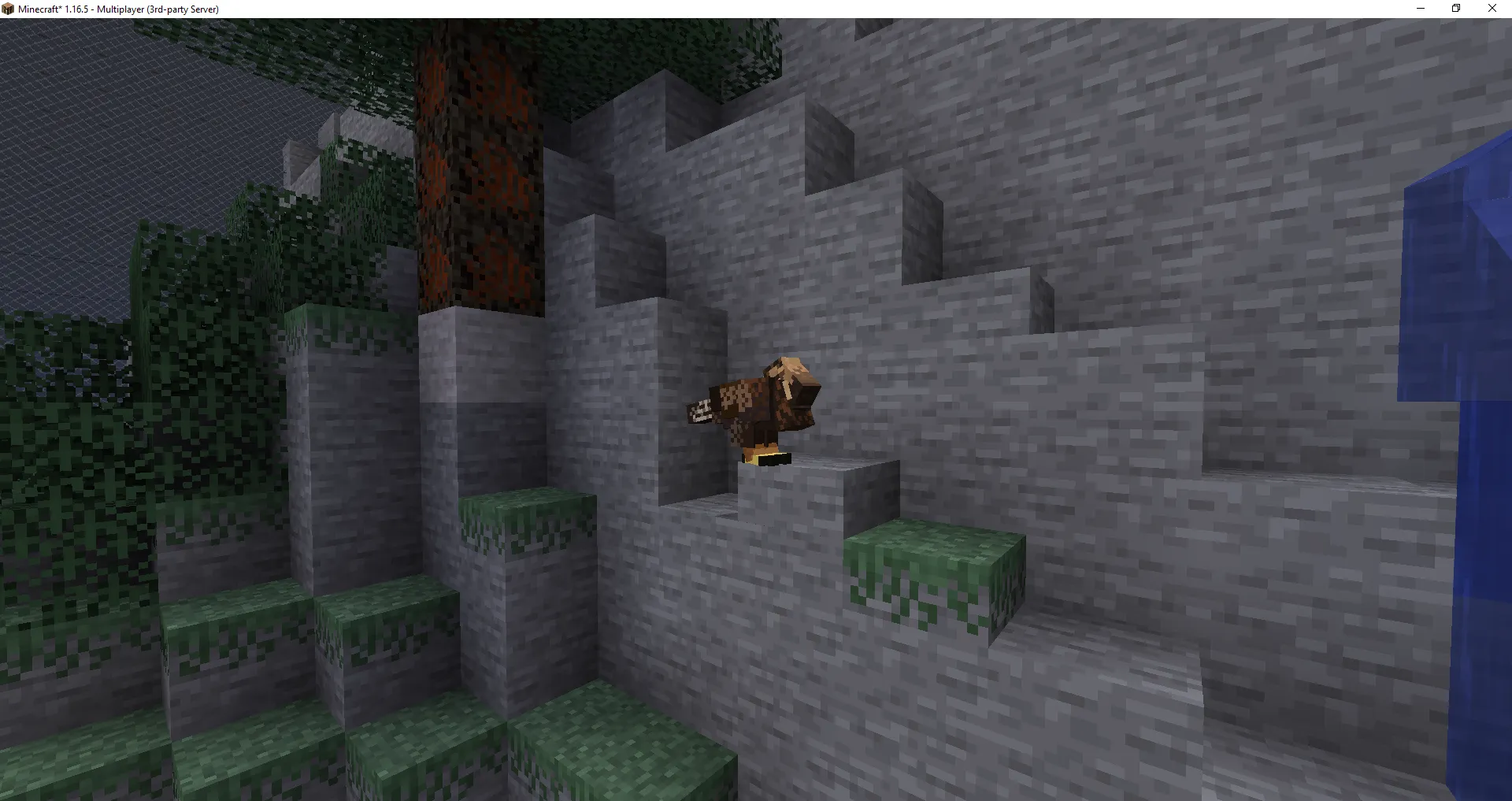 lil spinel zoo of wonder123 — скриншот 3 (Модпаки, Minecraft)