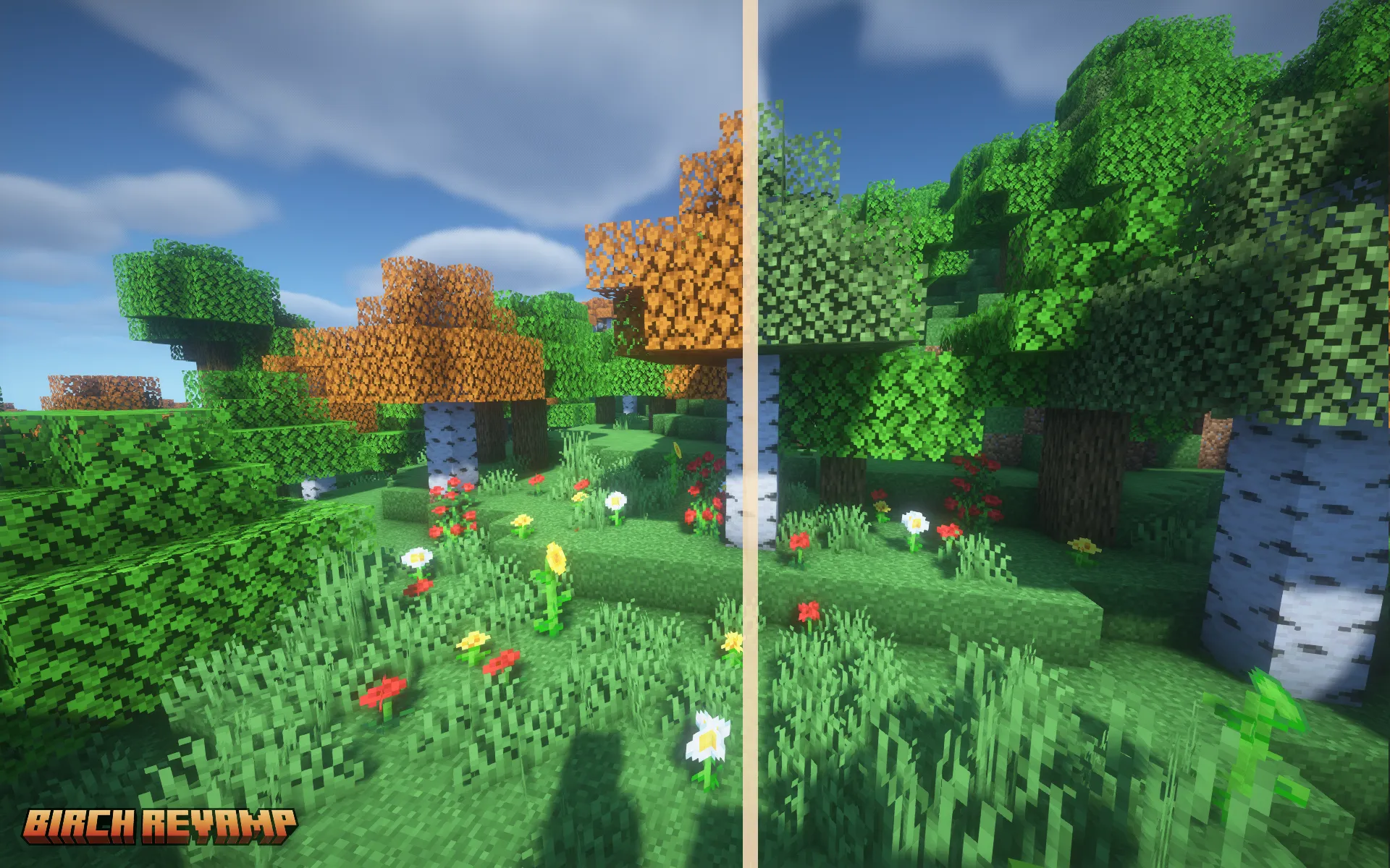 Birch Revamp, Текстуры, Minecraft