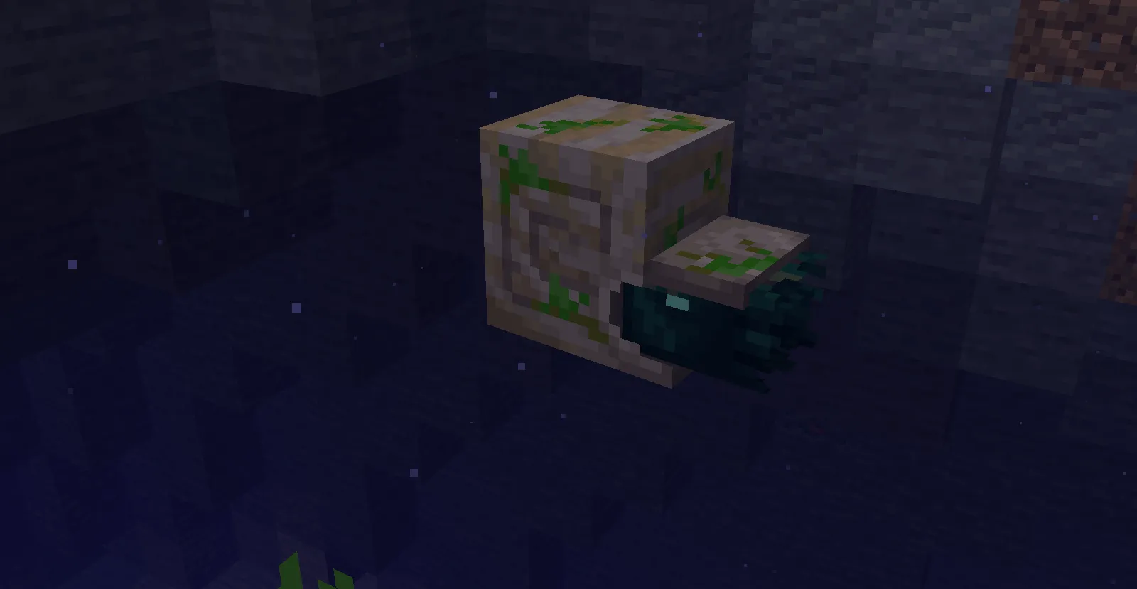 Interpret, Моды, Minecraft