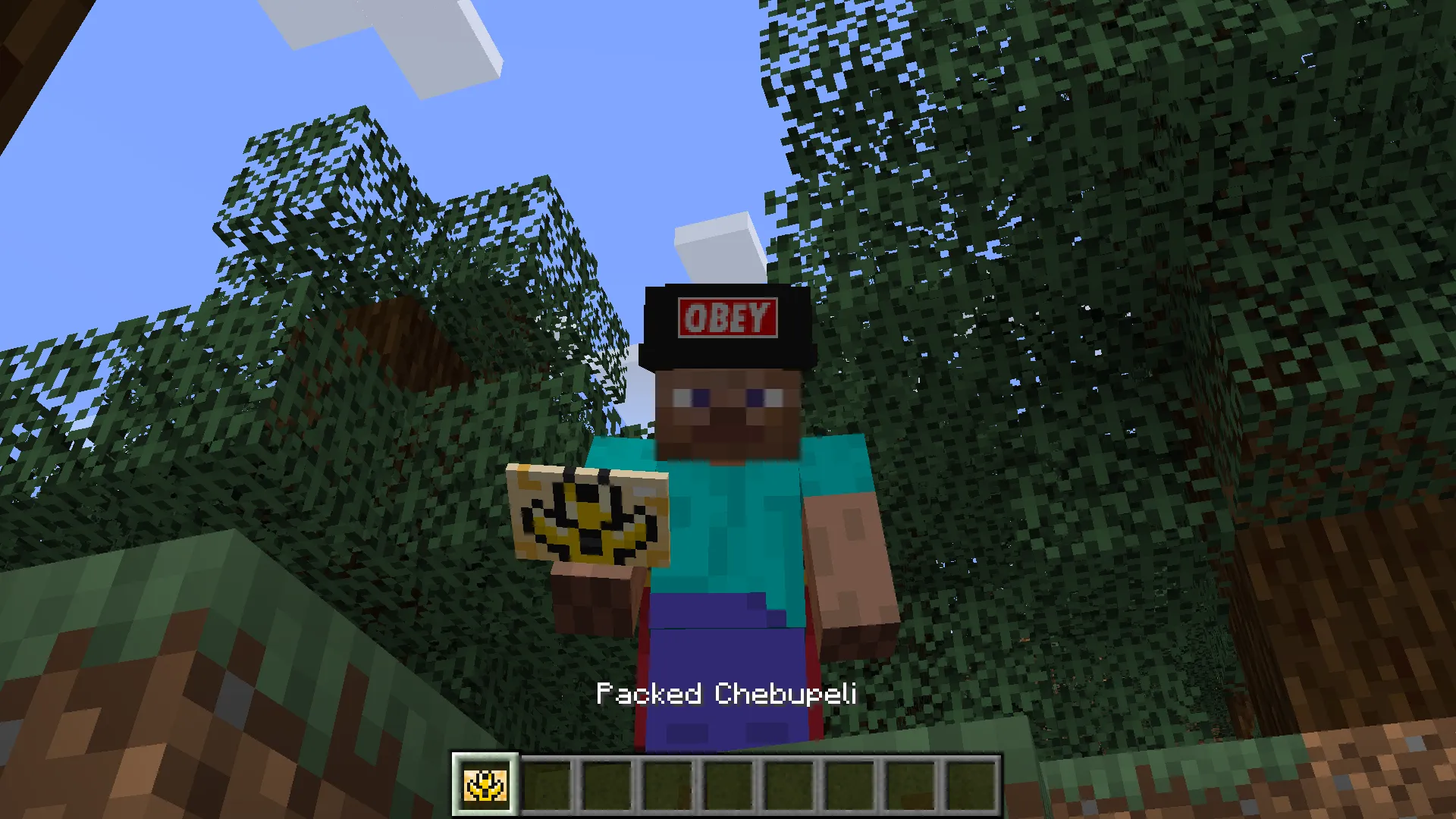 PrikolCraft, Моды, Minecraft