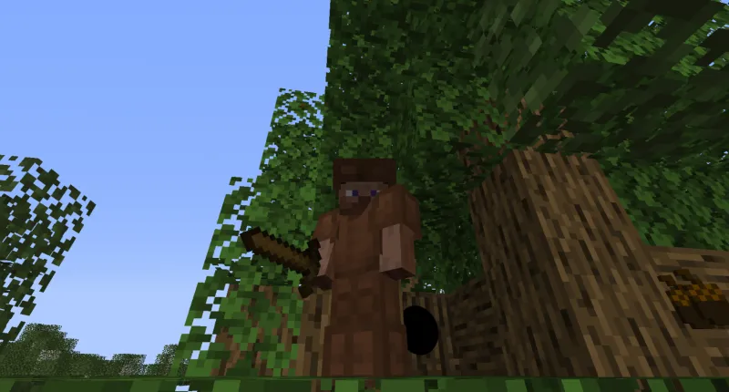 project-597865, Моды, Minecraft