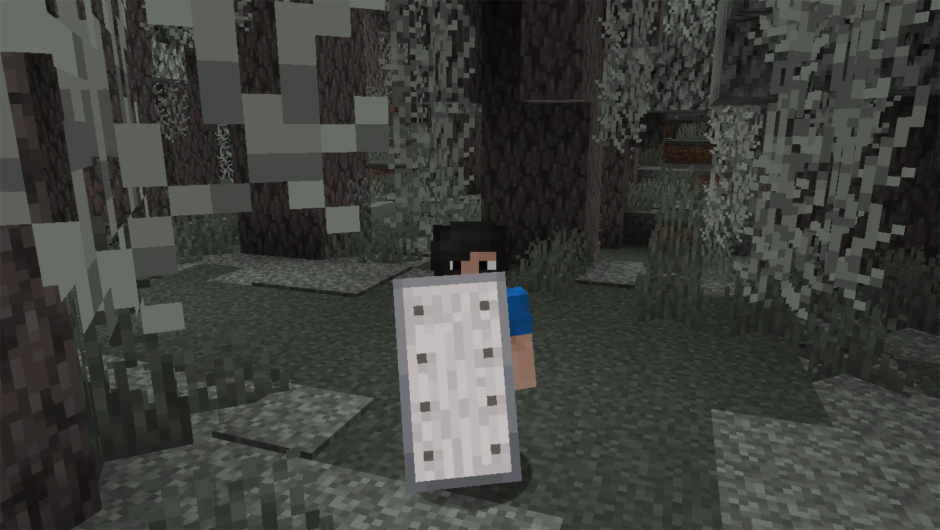 Woodtype Shields, Текстуры, Minecraft