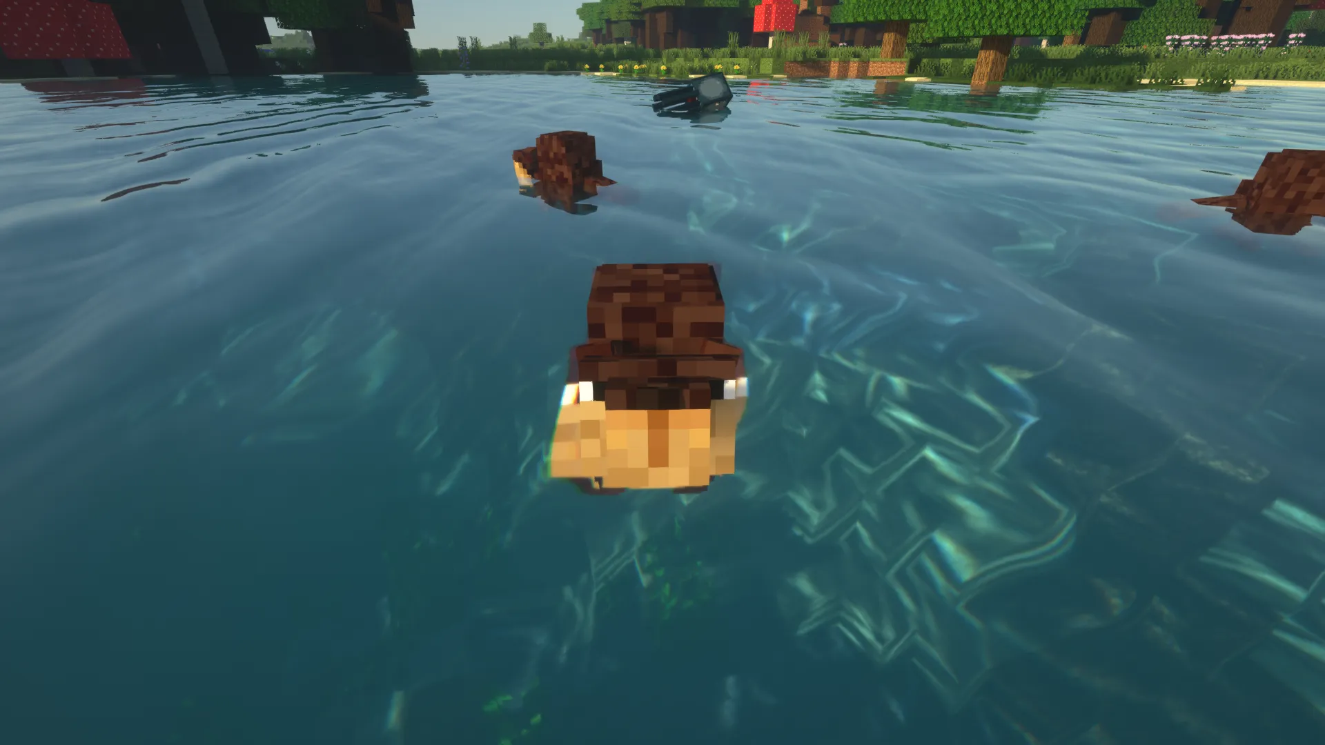 Lil' Beaver, Моды, Minecraft
